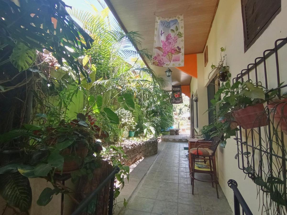 Nirvana Apartament Hostal Río Segundo Exterior foto